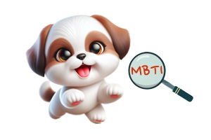 Pet personality test